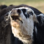 Photo from Christmas visit to MD 3