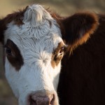 Photo from Christmas visit to MD 4