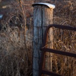 Fence Post