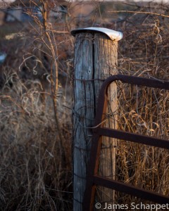 Fence Post