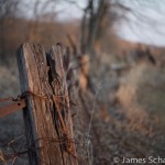 Fence Post