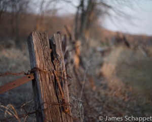 Fence Post
