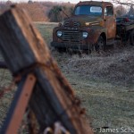 Fence Post