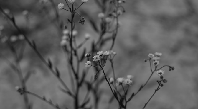 Fundamentals of Composition