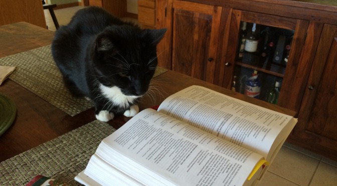 Earl is working on Dinner