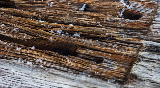 Texture
